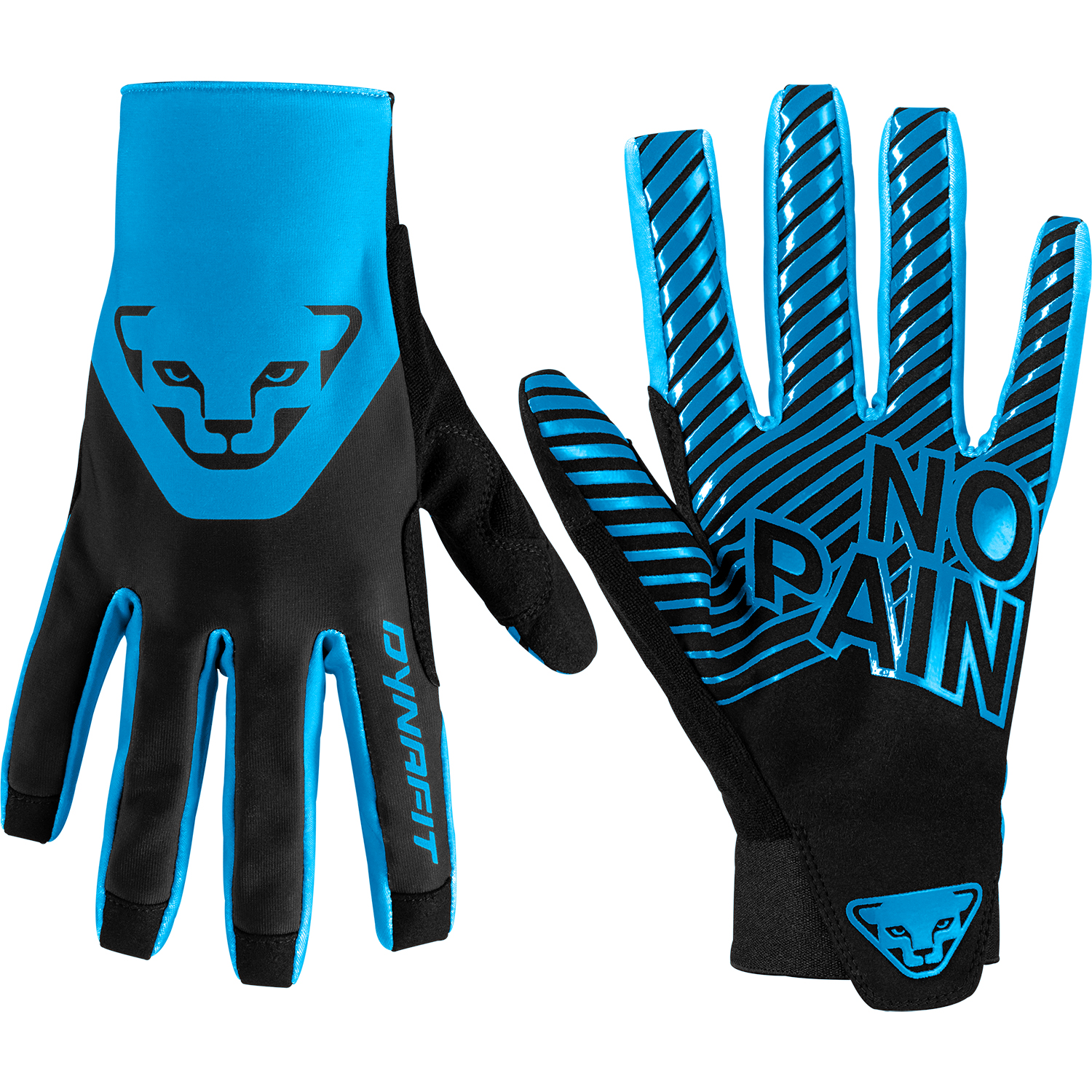 Dynafit DNA 2 Handschuh Frost  20616 Dynafit DNA 2 Handschuh Frost  20616